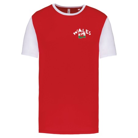 Maillot supporter Pays de Galles adulte